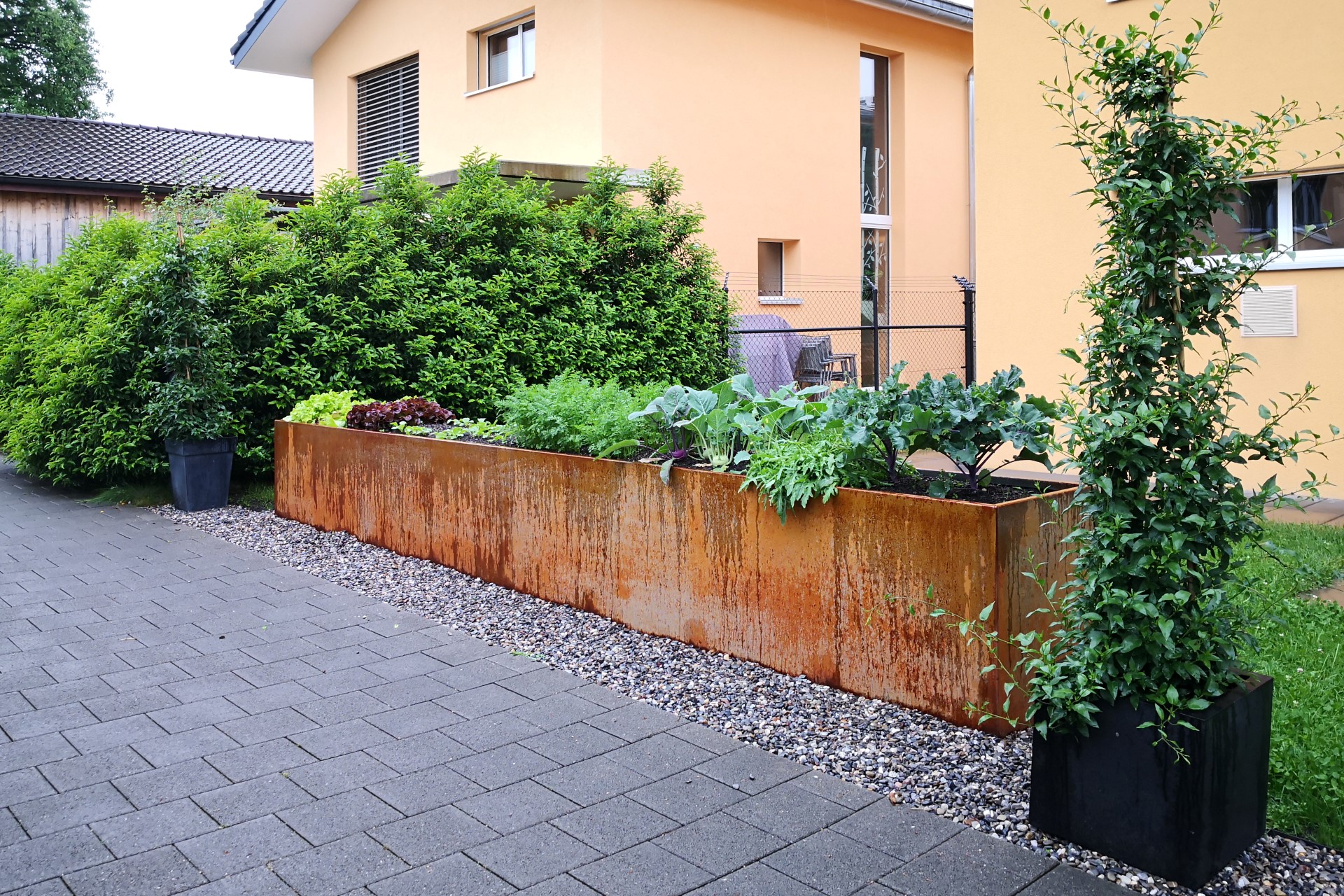 Gemüsehochbeet aus rostigem Stahlblech